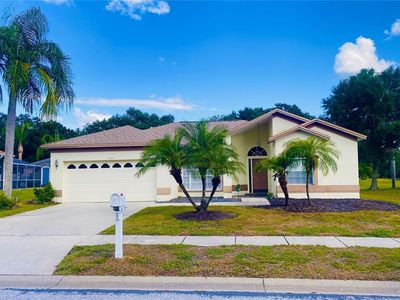19709 Wyndham Lakes Dr, Odessa, FL, 33556