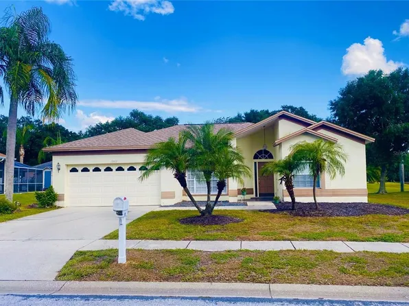 19709 Wyndham Lakes Dr, Odessa, FL 33556