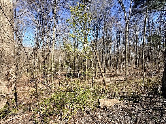 3rd image of Fitzgerald Rd Lot 12