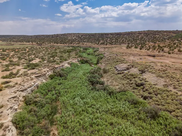 95 Cliff Thorn Rd, Quemado, NM 87829