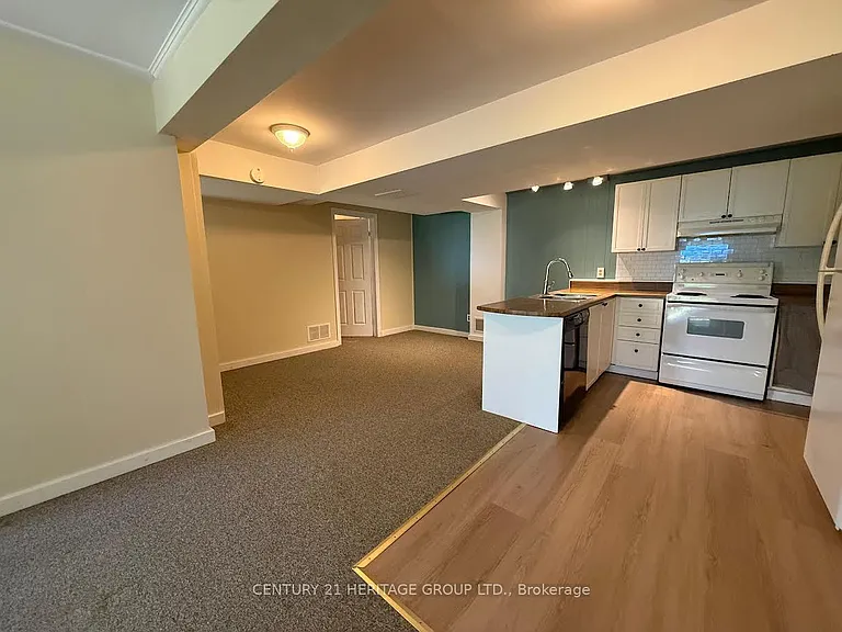 927 Srigley St #BASEMENT — Photo 3