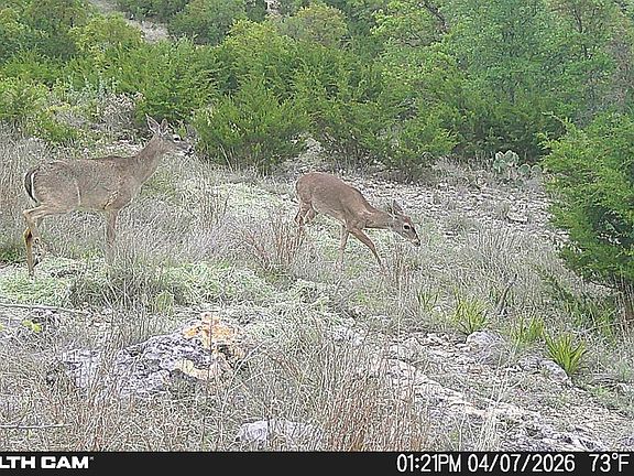 4th image of 870 Rocky Top Road Soutwest