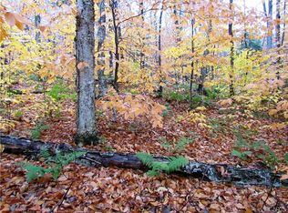 0 Twitchell Rd, Eagle Bay, NY 13331