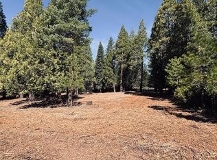 790 Red River Dr, Westwood, CA 96137