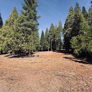 790 Red River Dr, Westwood, CA, 96137