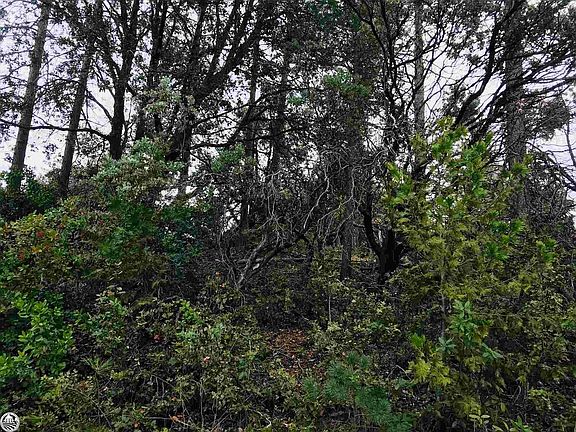 3rd image of 18525 El Capitan Way