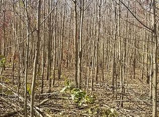 Levee Rd #2, Proctor, AR 72376