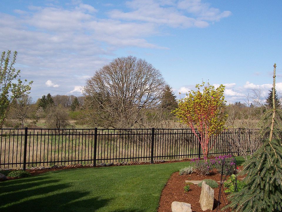 Backyard Privacy