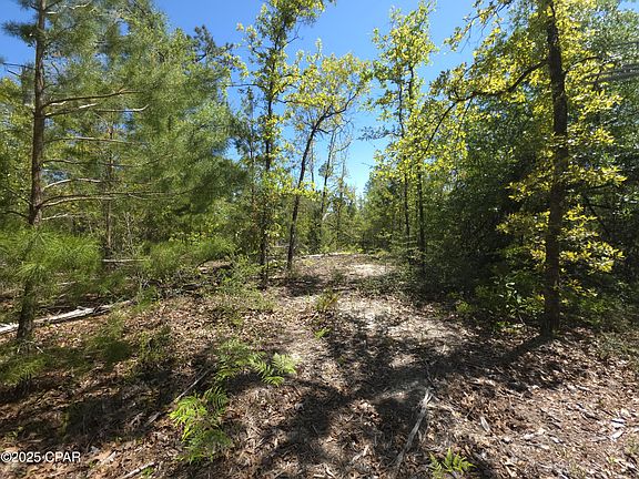 4th image of LOT 15 Adams Dr
