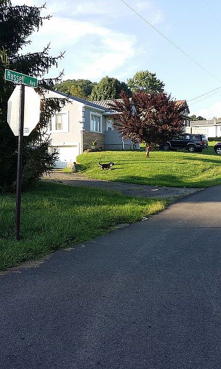 1st image of 2205 Russell Ave