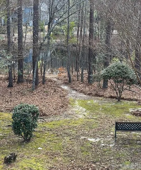 125 Golden Pond Ct — Photo 25