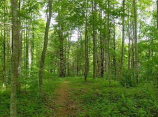 John Greer Rd, Elk Park, NC 28622