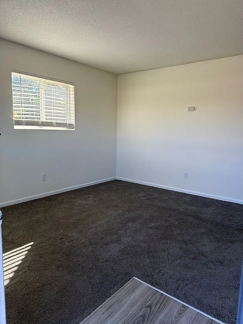 Courtyard Apartments | 1006 Salisbury Street Apt 1-B — Photo 3