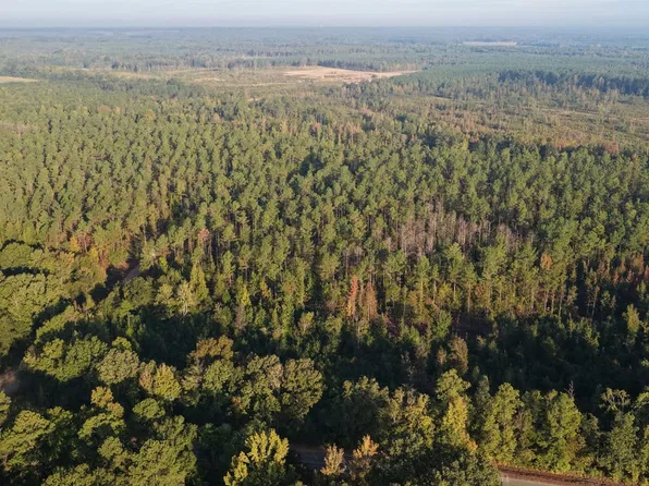 N Maben Bell Schoolhouse Road Pheba Mississippi #3975, Pheba, MS 39755
