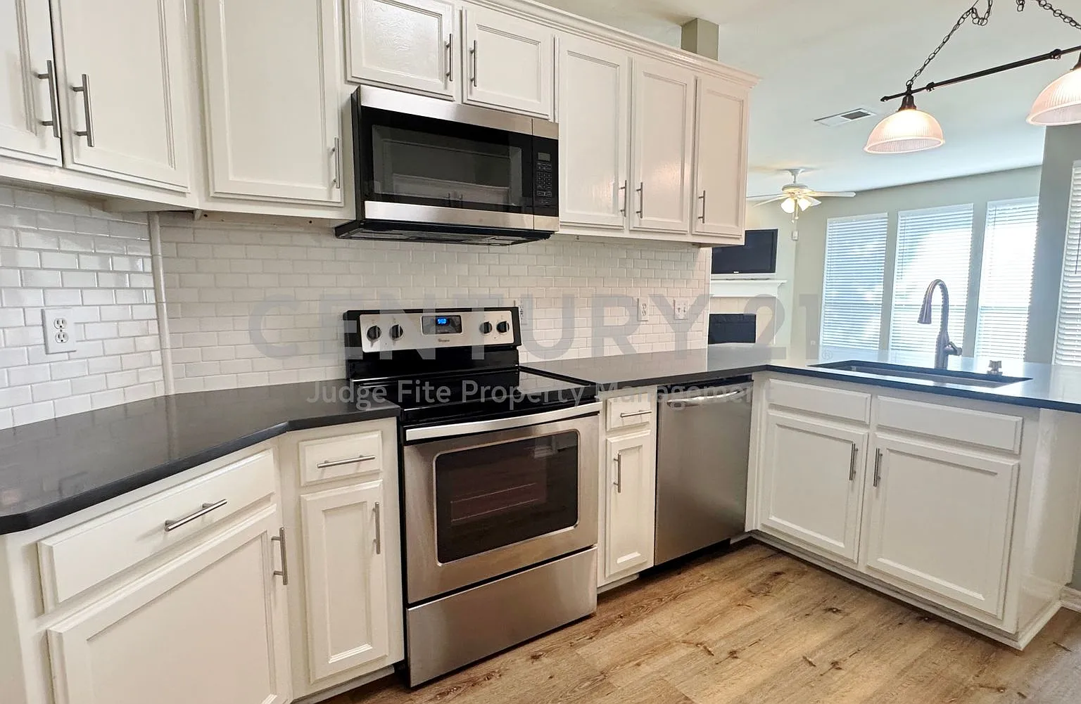 Stunning 3/2/2 in Euless For Rent! — Photo 4