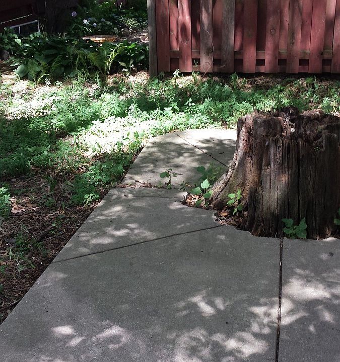 1st image of 610 W College Ave #1