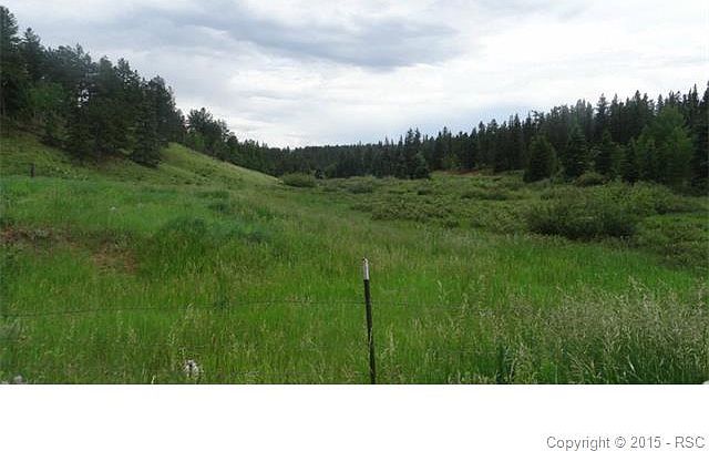 1st image of 205 Pioneer Creek Dr
