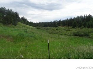 205 Pioneer Creek Dr, Florissant, CO 80816