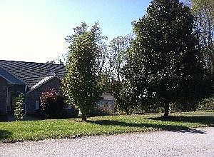 3rd image of 31 W Chasis Ct