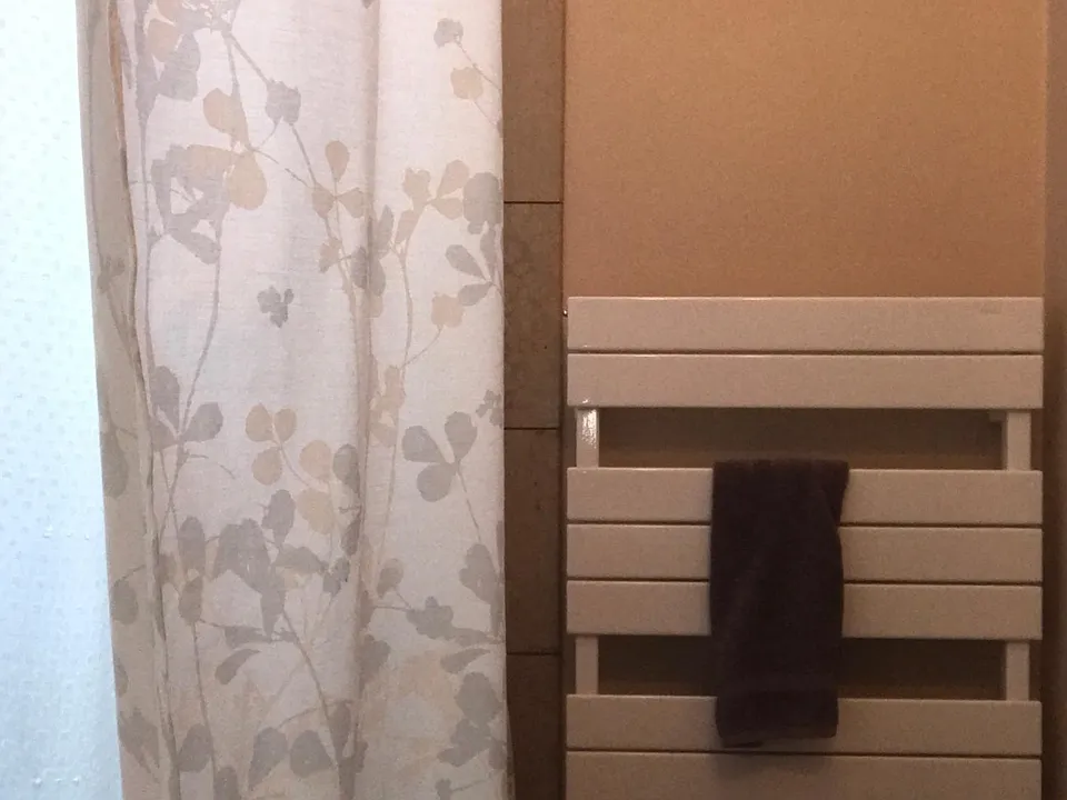 Runtal Radiator doubles as a towel warmer.