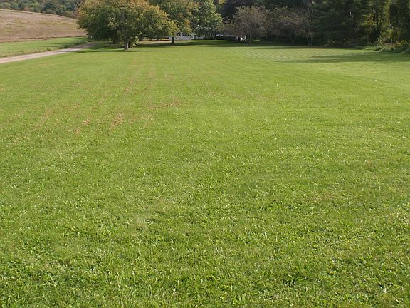 Set back in seclusion