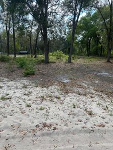 7194 QUAIL Street, Florahome, FL, 32140