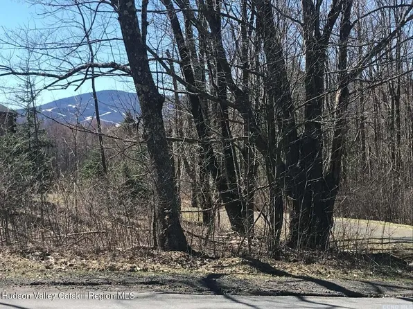 0 Goshen Street, Jewett, NY 12444