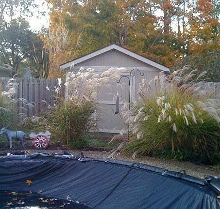 New Tuff Shed built Nov 2009.