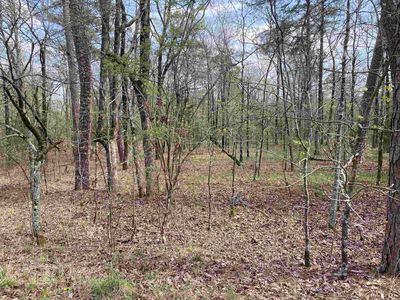 24 San Juan Ln, Hot Springs Village, AR, 71909