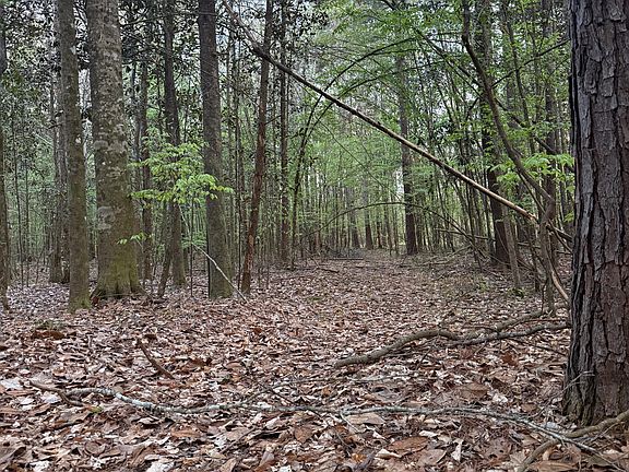 3rd image of Owen Boone Rd