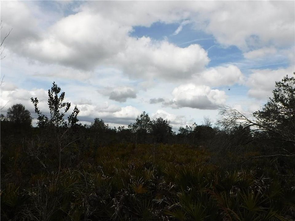 2nd image of Gator Ranch St