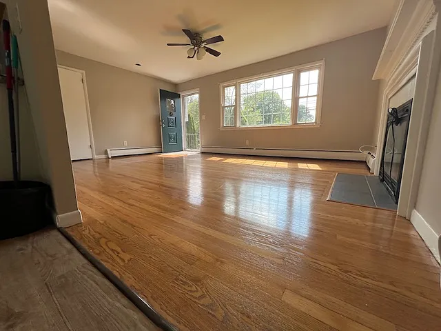 Living room/entry area