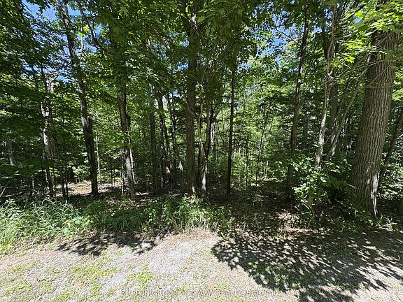 4th image of LOT 10 Bygrove Ln