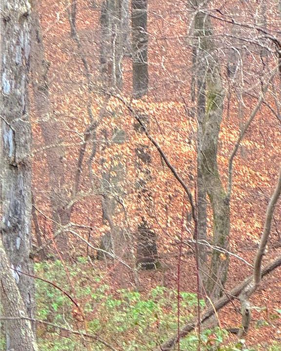 1st image of 0 Crooked Creek Trce #3565