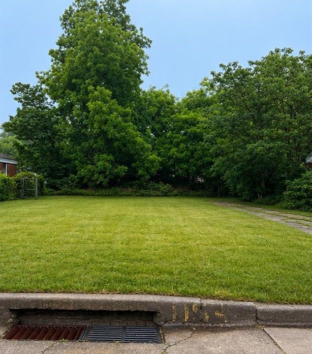 2nd image of 1153 Carverdale Dr Lot 43