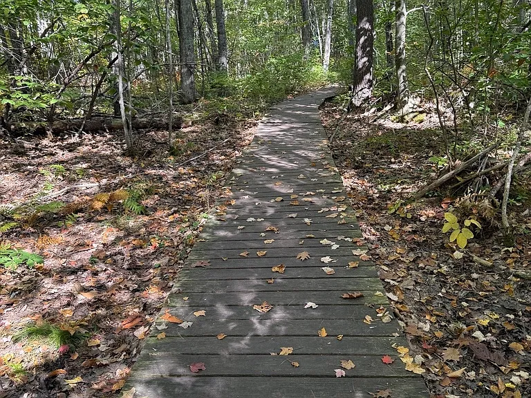 Anglers Point — Photo 11