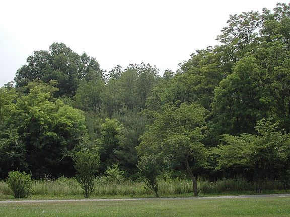 View front porch - straight