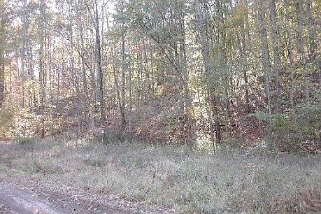 1st image of 274 Ash Camp Run