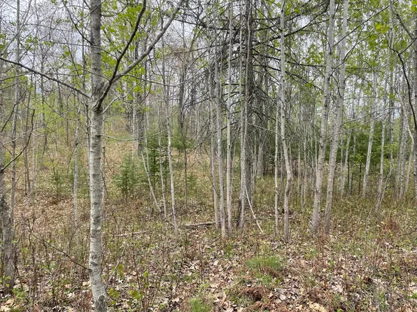 356 Co Rd, Stephenson, MI 49887