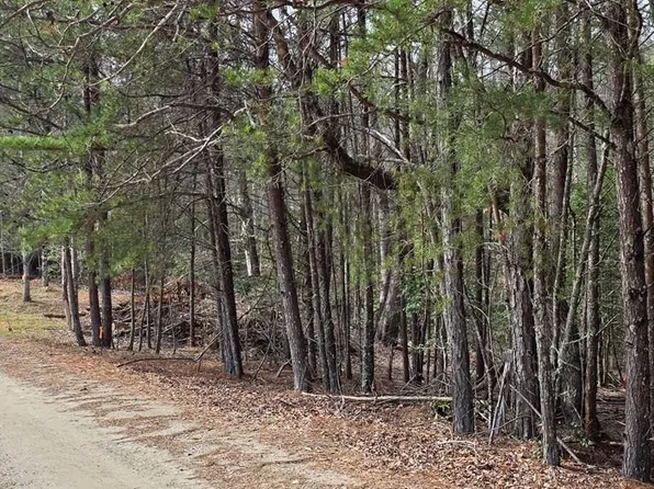 24 Pine Log Cir, Warne, NC 28909