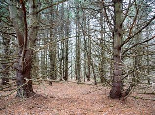 Blenheim Hill Rd, Blenheim, NY 12093