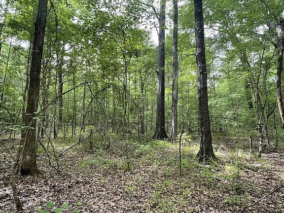 5th image of Hairston Bend Rd
