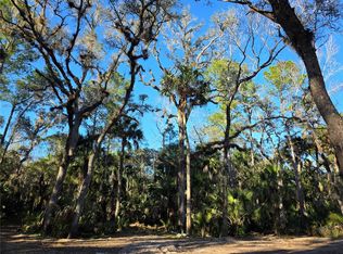 1243 Gee Whiz Dr Lot 35, Osteen, FL 32764