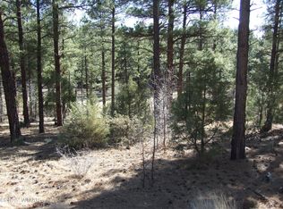 181 N Retreat Way, Show Low, AZ 85901