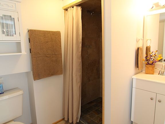 Lower level bathroom