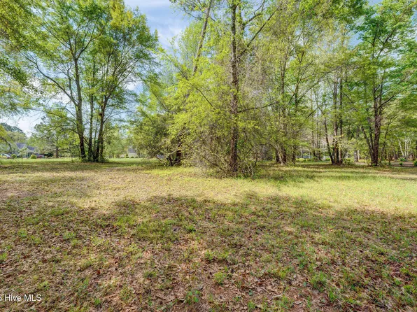 161 Maple Creek Drive, Wallace, NC 28466