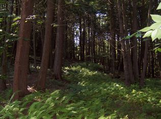 Deer Dell Rd, Margaretville, NY 12455