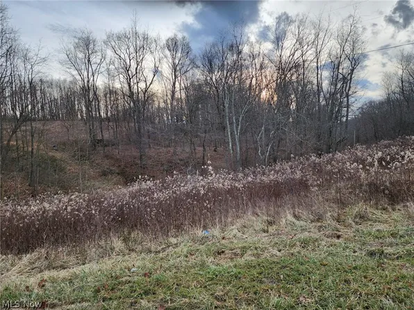 46015 State Route 151, Jewett, OH 43986