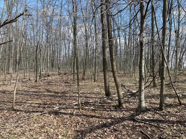 L989 Pine Tops Ct S, La Valle, WI 53941