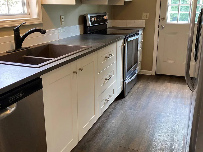 206 Spring Vine Dr — Photo 6